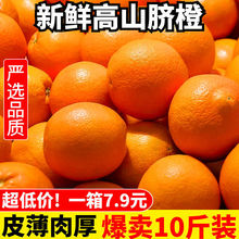 橙子秭归高山夏橙脐橙应当季新鲜橙酸甜橙手剥橙非赣南脐橙冰糖橙
