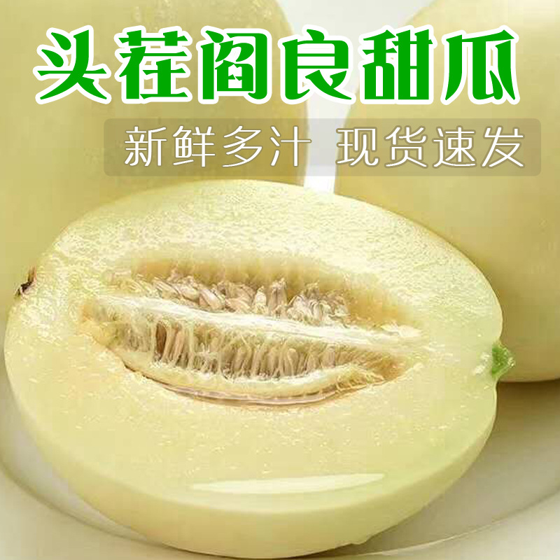 『陕西阎良甜瓜』小籽小甜瓜新鲜现摘白皮香瓜香甜当季水果