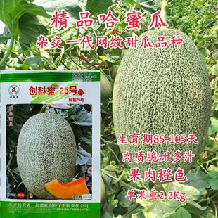 �½��W�y���ܹϷN���ļ���ˮ�����۹�����������̨�߲˷N��