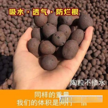 淘粒陶粒垫底陶粒大号养花专用回填卫生间彩色陶泥颗粒花用铺面
