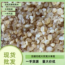 ����p�v�����p�a�A���׽Ƿ�Ұ���F��ѩɏ�����v�׏S��؛Դ���l