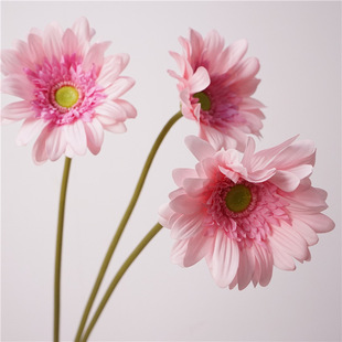 �ָб�����޾Ն�֧���滨���ɾ��r��С���¼ٻ��Ҿ�ܛ�b�zӰ���l