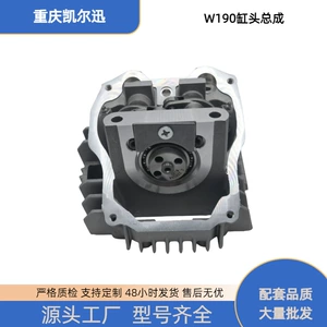 Zongshen Horizontal W190 DT190 motosiklet mühərriki 2 klapanlı silindr başlığı