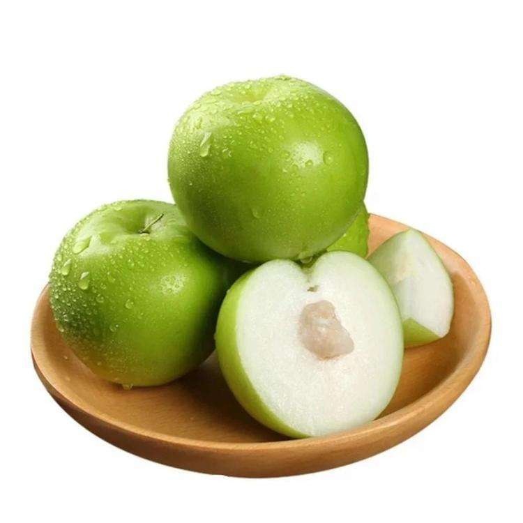 福建牛奶大青枣当季现摘现发新鲜青枣包邮当季水果大青枣一件代发