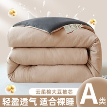 a类大豆棉被子云柔棉被大豆纤维双拼被芯加厚冬被学生宿舍家纺批