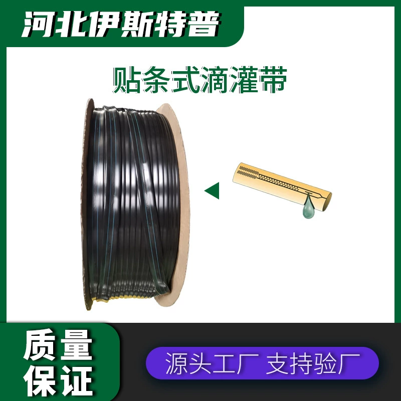 Сельскохозяйственное орошение теплицы для выращивания фруктов и овощей