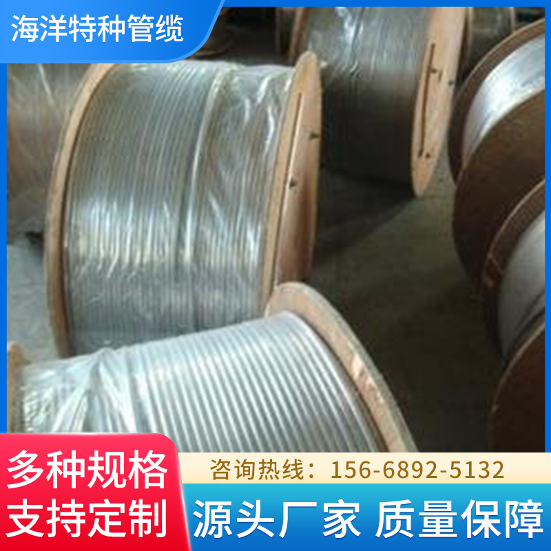 油井化学药剂注入高压不锈钢盘管