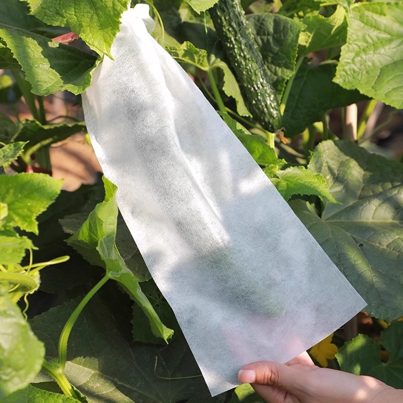 여주 방충봉투-중형-15*38-50개/묶음(네이키드)