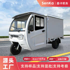 电动三轮车厢式拉货运输快递车农用全封闭拉货成人载重电动车