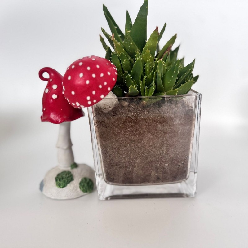 国境を越えた屋外中庭の装飾品、景観装飾品、庭の鉢植え、盆栽の装飾、模擬キノコのマイクロ風景装飾|undefined