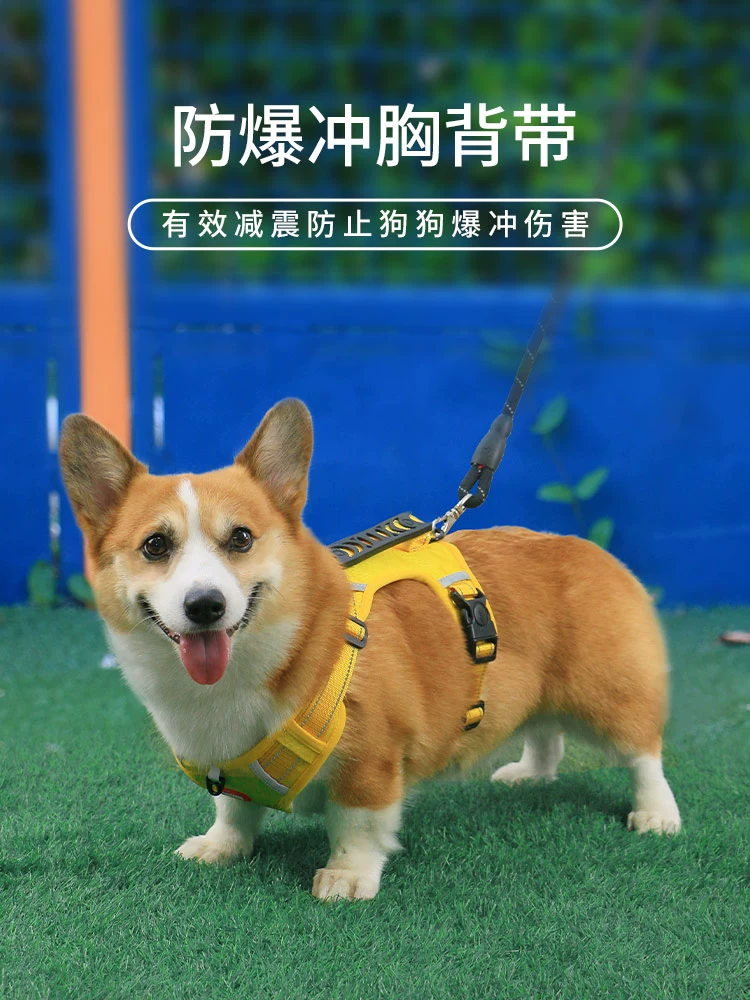 Шлейка для собак, поводок для прогулок, тяговая веревка, корги Тедди, жилет для собак среднего размера, тип взрывозащищенного ошейника