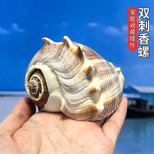 ���o���� ��Ȼؐ�����ݼľ�з��ؐ�~��Q����̨�bzӰ �S�����l