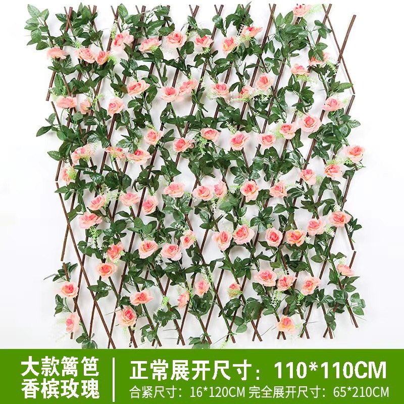 오프화이트 1.2m 샴페인 로즈