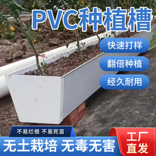 pvc��ֲ�����������ݮ��ֲ�߲�¥����԰��̨���ϻ���̨��԰