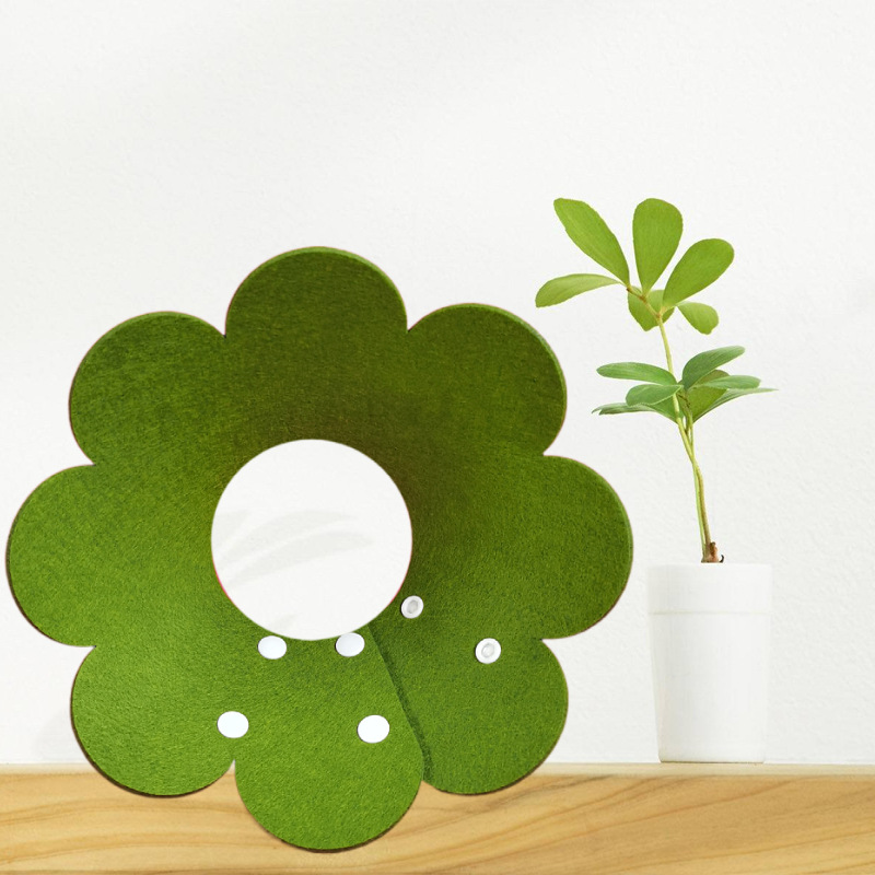 Anillo Elizabeth Anillo de artículos para mascotas Anillo de felino Anillo de vergüenza para esterilización Collar para mascotas