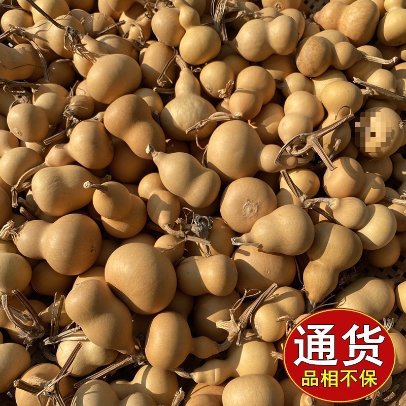小葫芦一手货源带龙头天然迷你小手捻把玩件地摊文玩供应一件包邮|undefined