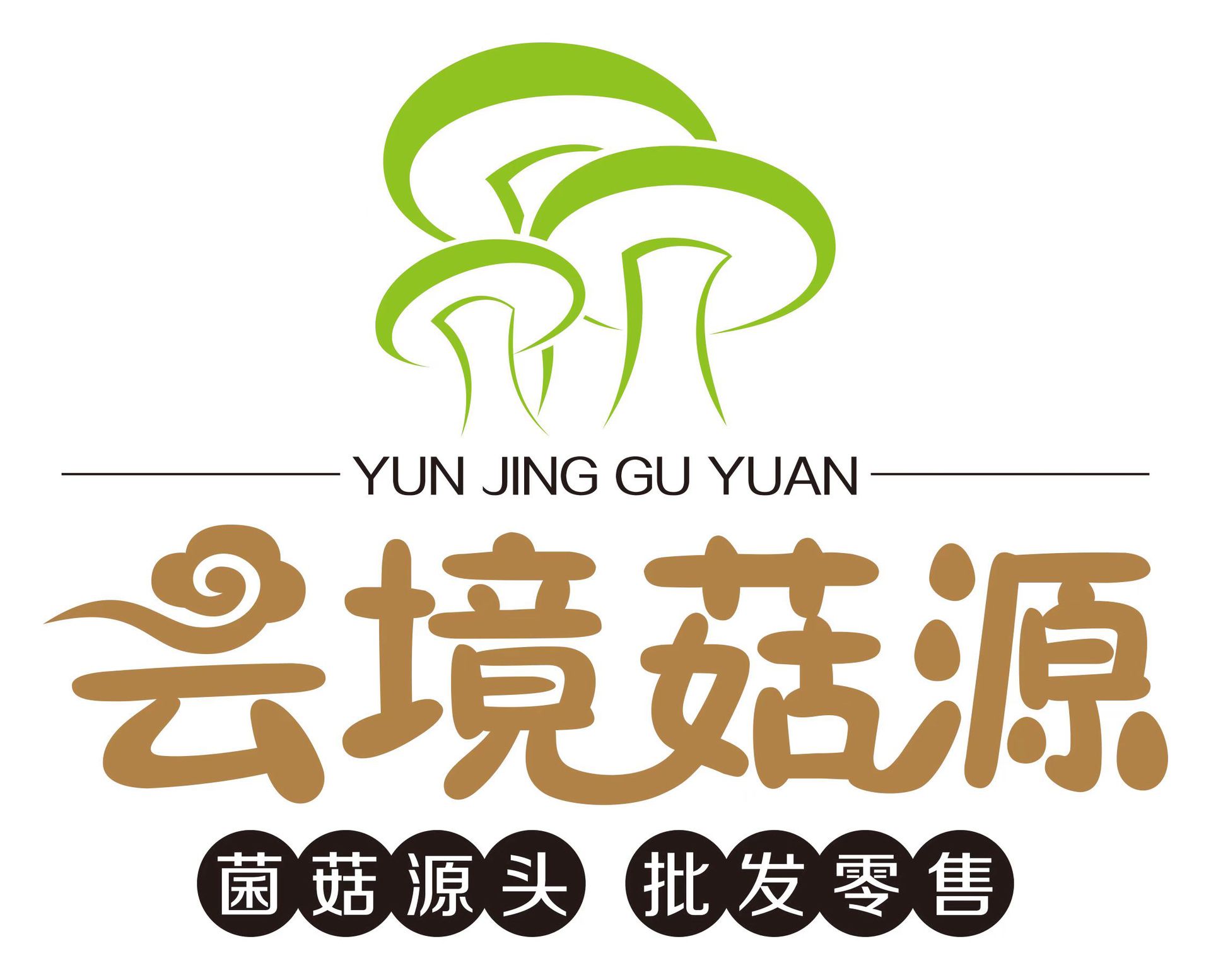 3e717727a014cd662c01aed84520bc