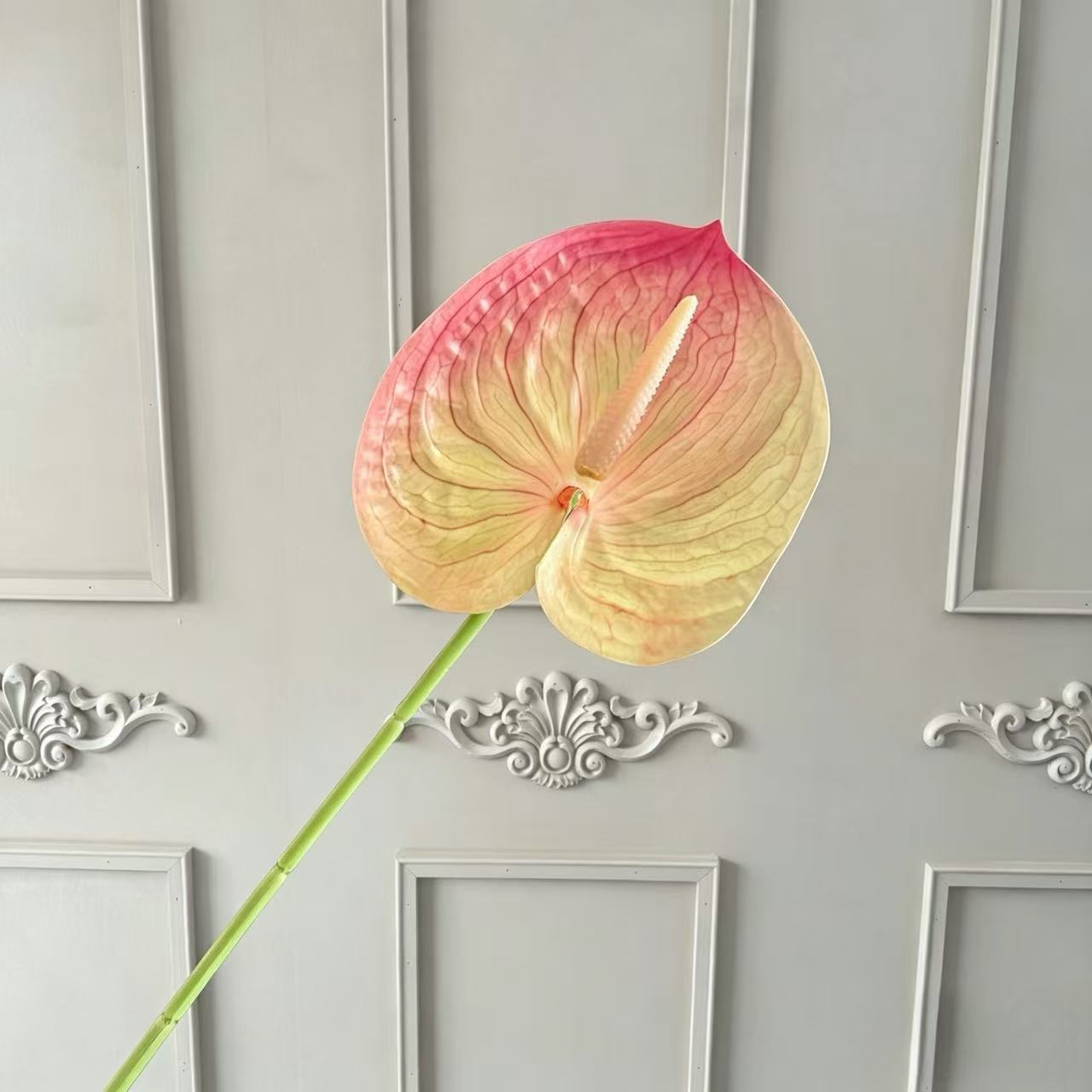 레드 그린