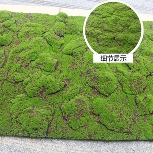 ����̦�\��ƺֲƤ�����Ƥ��ƺ��̦ʯ ֲ��̦�\ ����ֲ�����ƺ