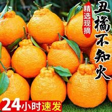 新鲜现摘高山丑橘不知火当季水果耙耙柑丑桔子蜜橘子10斤新鲜包邮