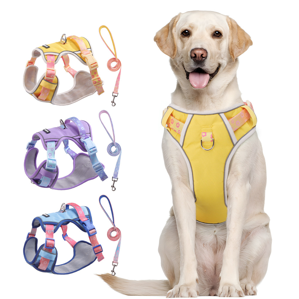 Transfronterizo pequeño, mediano y grande cinturón de pecho de frutas para perros cinturón de seguridad de cuerda de tracción cinturón de pecho de perros a prueba de explosiones