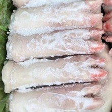 新鲜冷冻猪蹄 带筋猪前蹄 干水生猪手 卤味店20-22只*20斤整箱