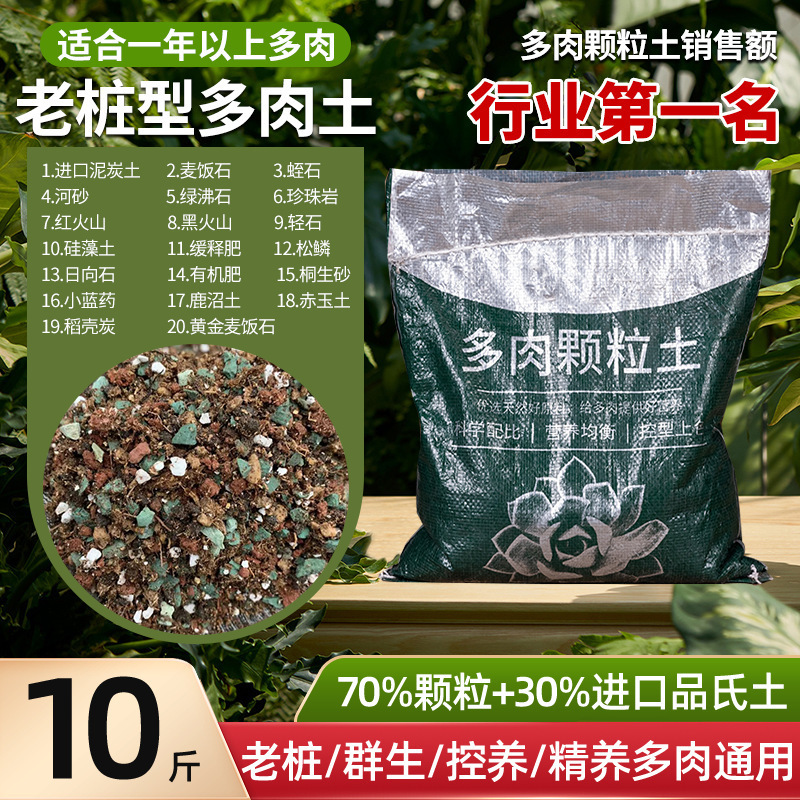 多肉植物粒土、特殊栄養土、医療石、一般花植物多肉植物土、カラフルな小石舗装|undefined