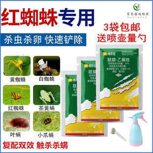 �����\���x���t��֩������¼���������P��ʭ�~�\���Ú��\��