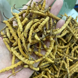 其他滋补;天麻;参类滋补品