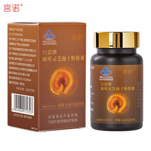 宫诺破壁灵芝孢子粉胶囊增强免疫力中老年小蓝帽子保健食品非药油