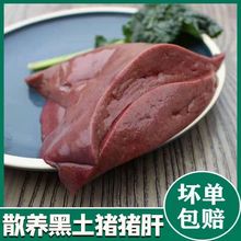 【新鲜生猪肝】现杀生鲜猪肝内脏猪肝散养土猪整副猪肝批发猪下水
