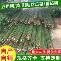 Прочная подставка для бобов из бамбука для огурцов, бобов, люфы, вьющихся помидоров, садовой стойки для фруктов и овощей, очень прочная.