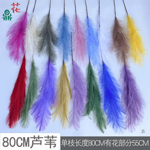 �����JȔëë�� ������ë��������˹�ݻ�c�ٻ��Ҿ��b���b��