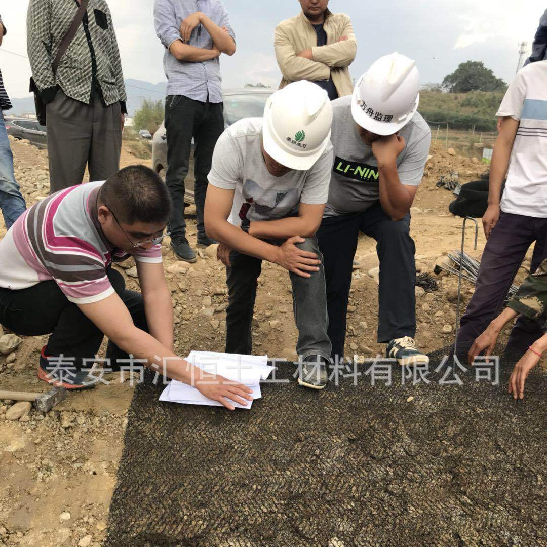 柔性水土保护毯、水土保护毯、土工网垫7020