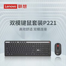 �pģ�I�P������bP221�����Pӛ��̨ʽ�C��Xusb�o���k���̄����l