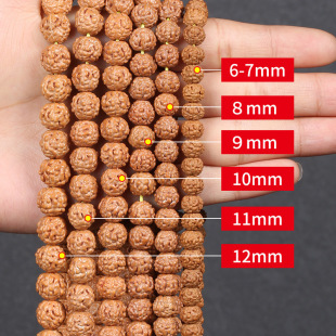 ����������ִ��SƤԭ��5��6��7��8��9��ӡ��tƤ�M�����������