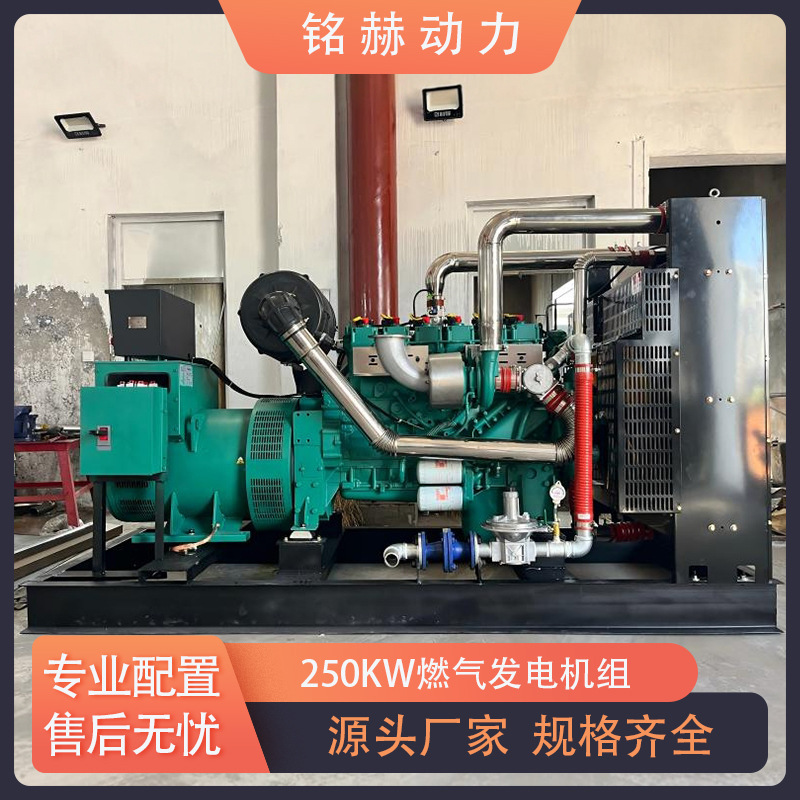 天然气沼气250kW燃气发电机组 垃圾填埋气可燃气体发电站出口机型|undefined