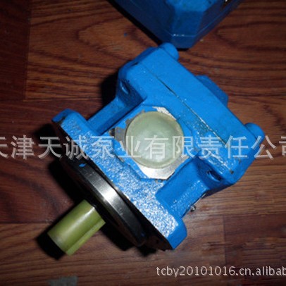转子增压泵ZYB/内啮合齿轮泵/高压泵/点火泵/转子泵/喷射泵