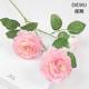 Peony dark pink