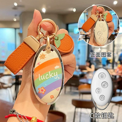 Cartoon Pattern Seagull Destroyer 05: Car key bag - byd-c-lucky-rainbow-orange-belt-orange
