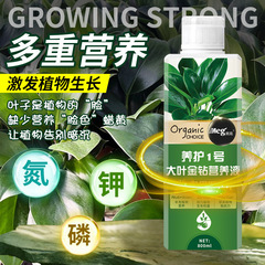植物養液、大葉ゴールデンダイヤモンド専用養液、花栽培肥料、水栽培、鉢植え養液肥料