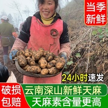 r3ͨǸ؛ҰؼșķƬƷٷŞ