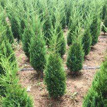 һ�����l���������ؘ���С��������u���؂Ȱ���K�ذ،����ɘ���