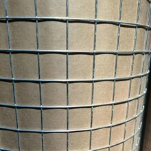 內外牆抹灰保溫掛網鋼絲網電焊網抹灰網不銹鋼熱鍍鋅電焊網養殖