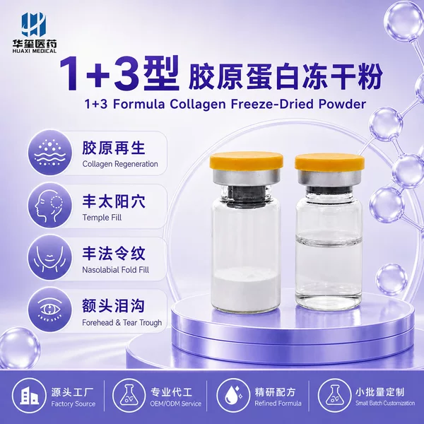 1+3 Type Collagen Non-Retractable One-Time Molding Facial Shaping Product for Facial Depressions, Temples, Forehead, Nasolabial Folds, and Youthful Appearance