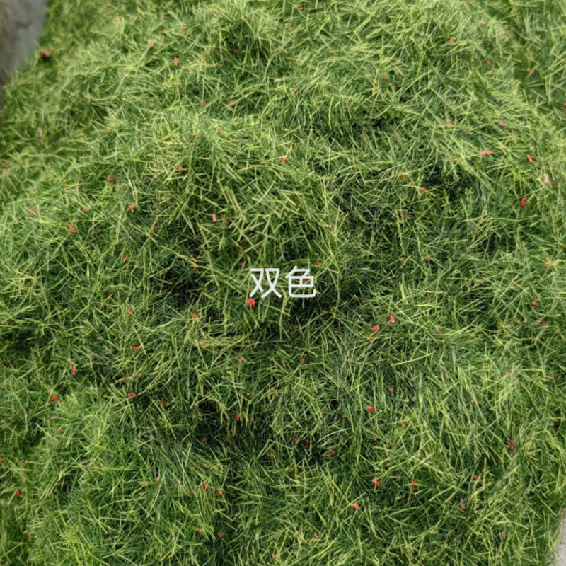 4ae9164bd31de9a7ba7859c9e3b8a0