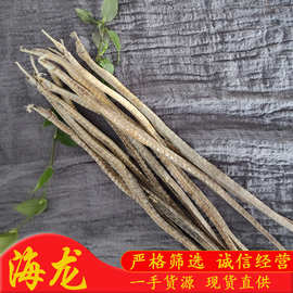 大货批发中药材大海龙六角海龙三角龙海钻海蛆干泡酒煲汤磨粉材料
