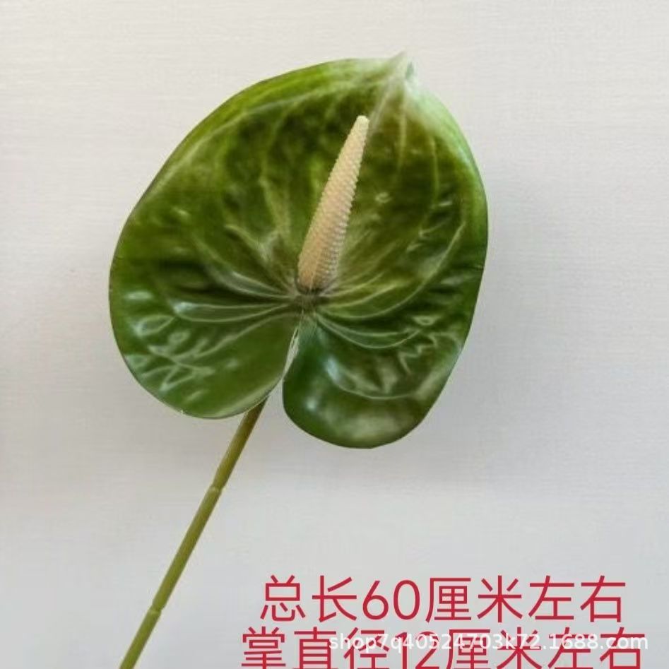 색상 번호 6