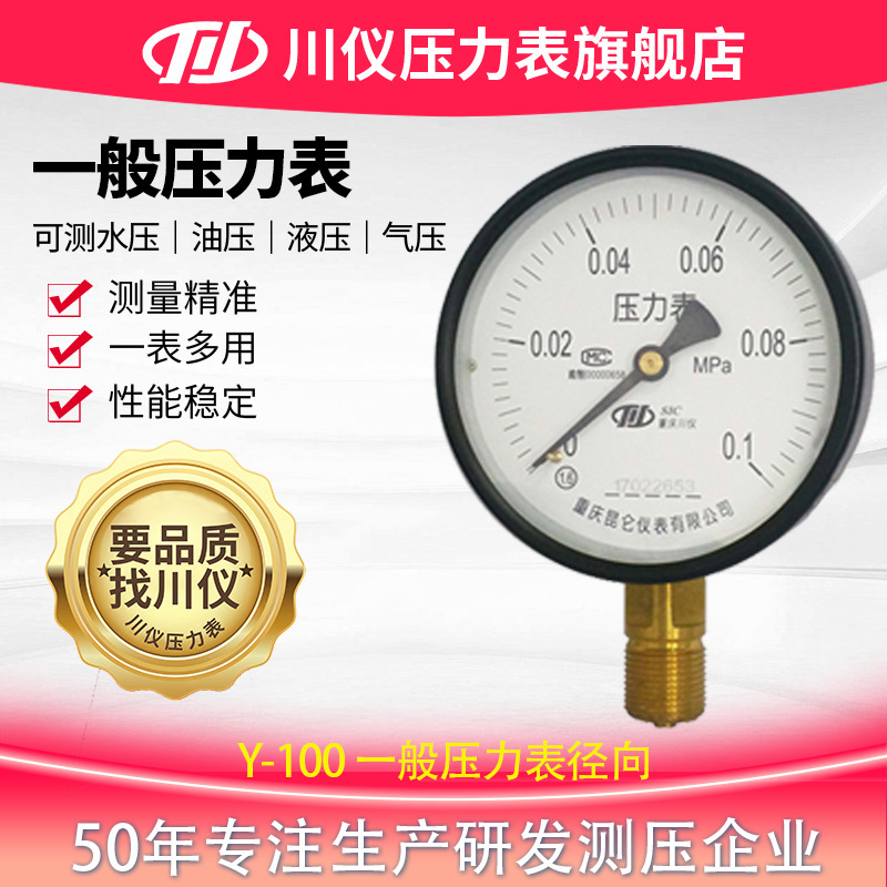 Sichuan Standard Pressure Gauge Wholesale Y-100 Radial Pressure Gauge 0~0.6Mpa Stainless Steel Iron Shell Pressure Gauge Sichuan Standard Pressure Gauge Wholesale Y-100 Radial Pressure Gauge 0~0.6Mpa Stainless Steel Iron Shell Pressure Gauge