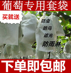 T9J5葡萄袋套專用袋葡萄套袋葡萄袋專用袋紙袋果袋葡萄袋子全木漿